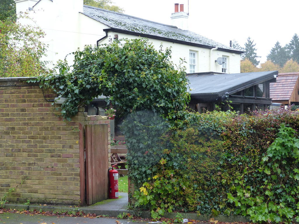 The Sun Inn Englefield Green ภายนอก รูปภาพ